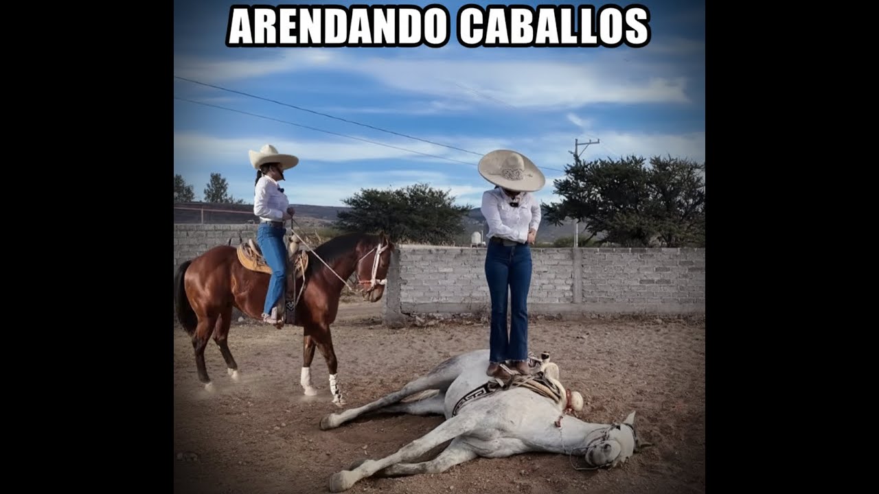 DESDE CHICA ME YAMO LA ATENCION A ARRENDAR LOS CABALLOS Y LO TRAIGO POR HERENCIA