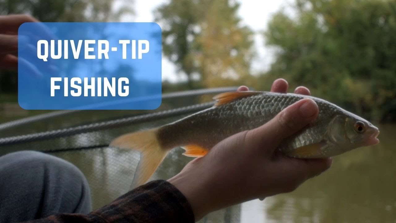 Quiver Tip fishing With Inline Feeder / Short October Afternoon Session / Roach & Carp