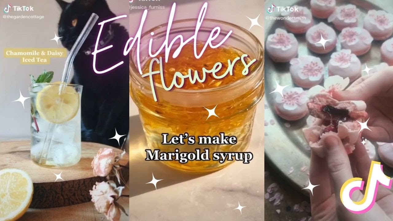 Edible Flowers and what to do with them part 3 🌿 Foragetok 🌿 Tiktok Compilation