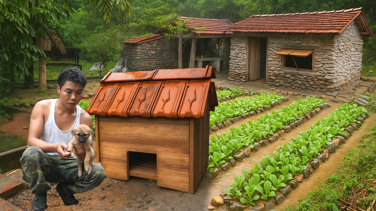 CEO gives up city life to live in nature: Sells wild tree cores, raises dogs and cooks every day