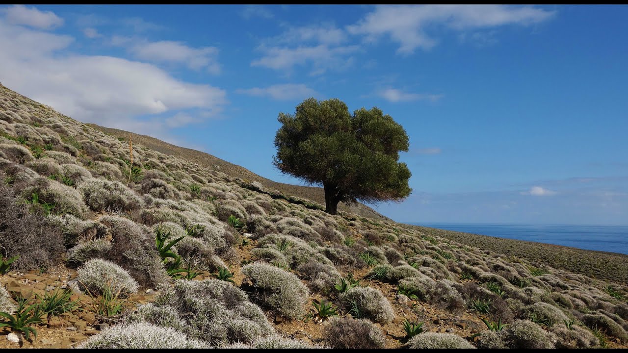 Φαράγγγι και Πρωτομινωικός οικισμός Τρυπητής -Tripiti gorge, Crete  in 4K (UHD)