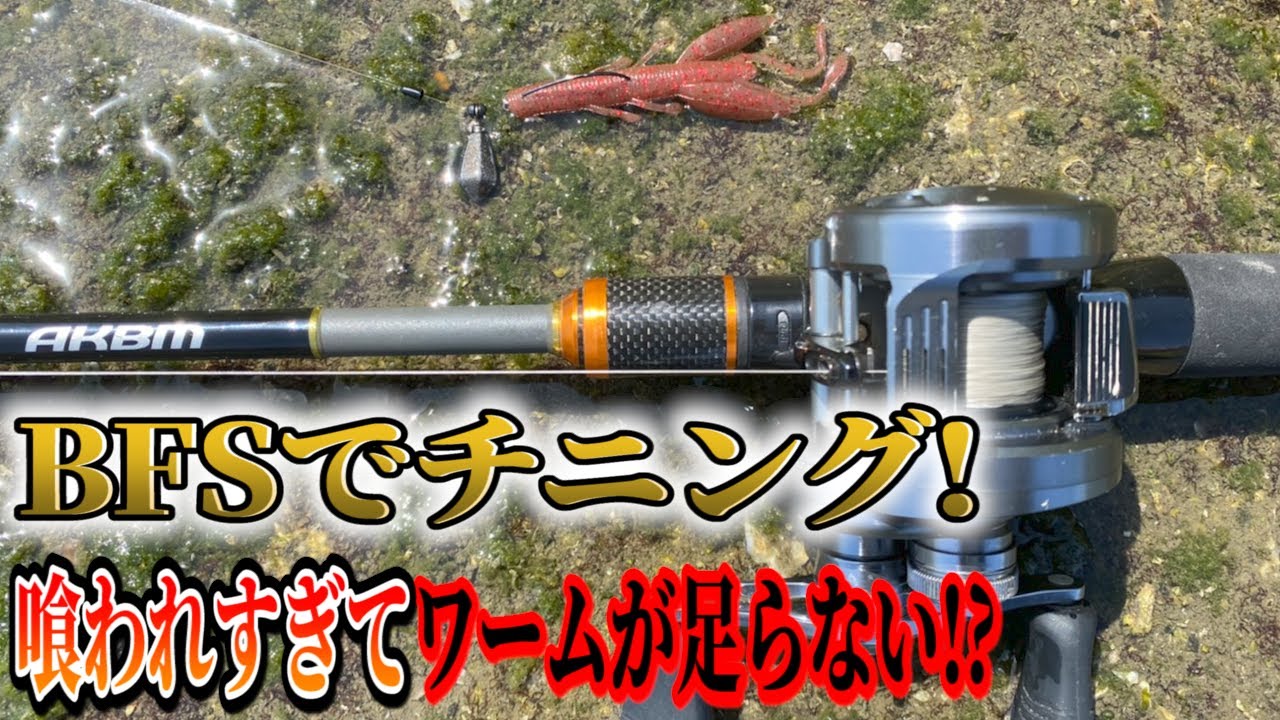 小さな河口でベイトフィネスチニング！