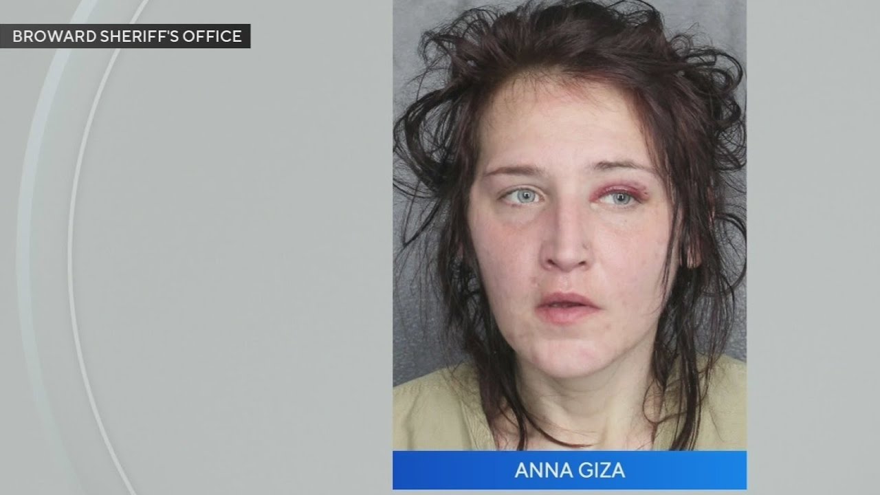 New details revealed from the suspect of a police persuit at Turnpike that ended in a deadly crash