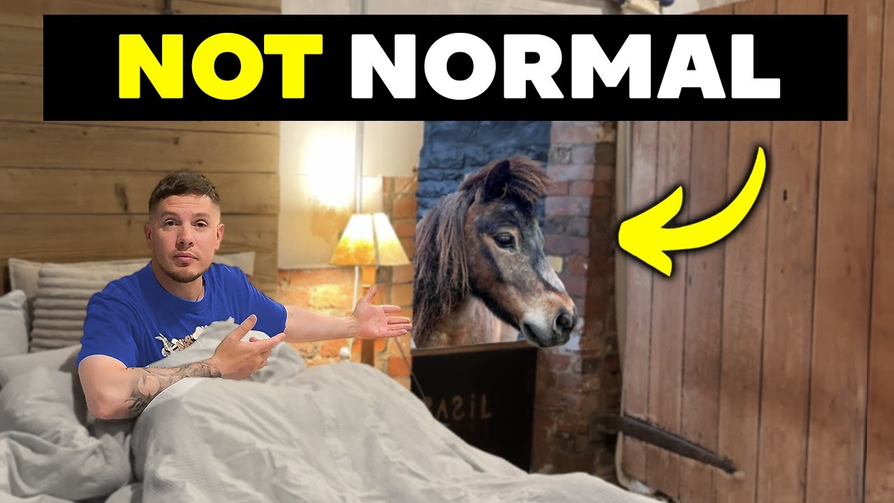 There was a HORSE in my bedroom (crazy air bnb)