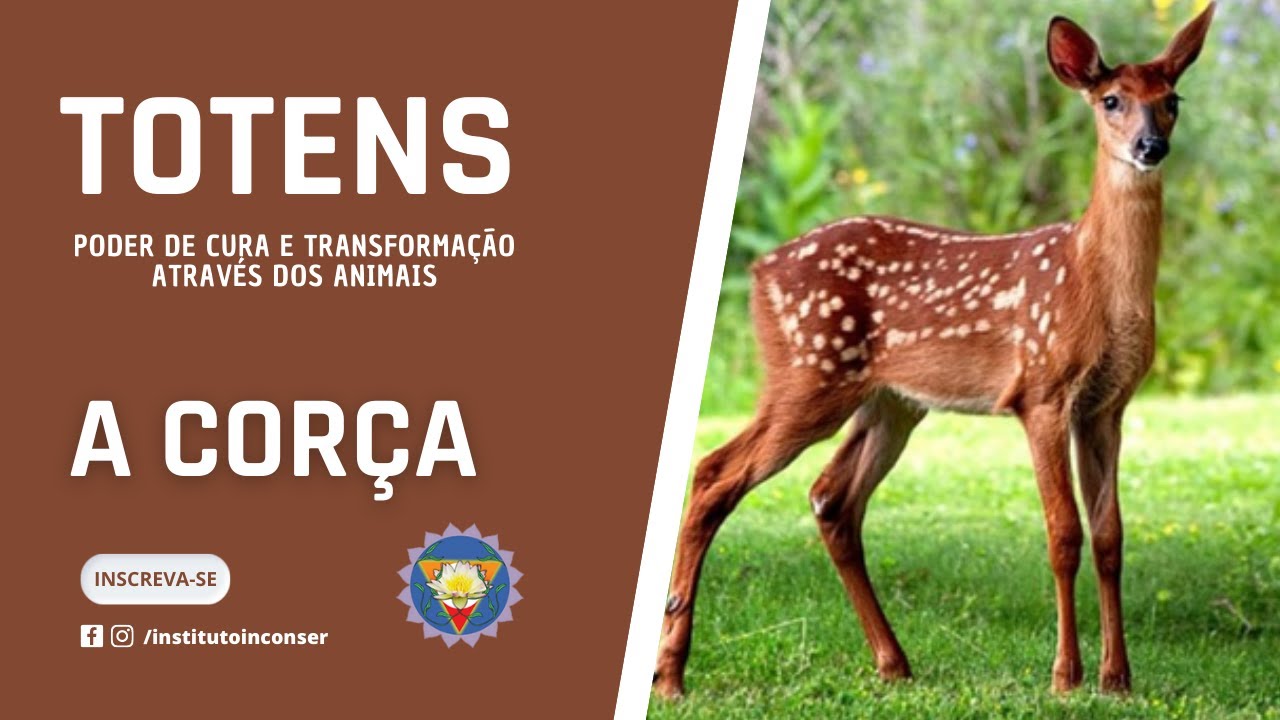 O totem da Corça   Sinta a energia e utilize para ter mais habilidades em diversas situações.