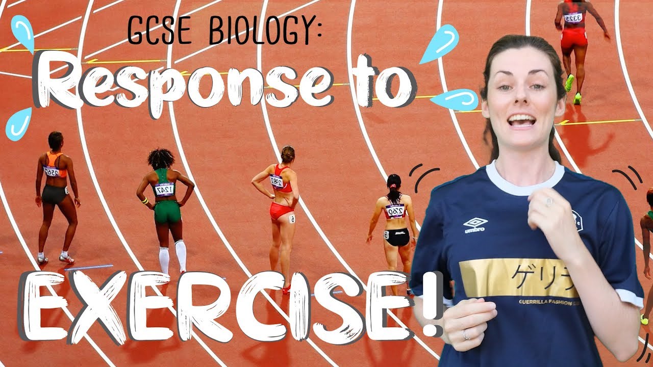 Response to Exercise - GCSE Biology