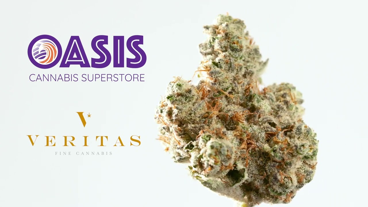 Oasis Cannabis Superstore - Veritas - Cherry Punch Flower