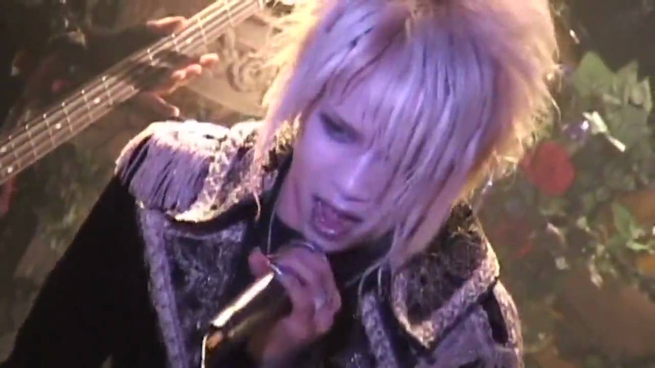 HIZAKI grace project   EVERLASTING DREAM