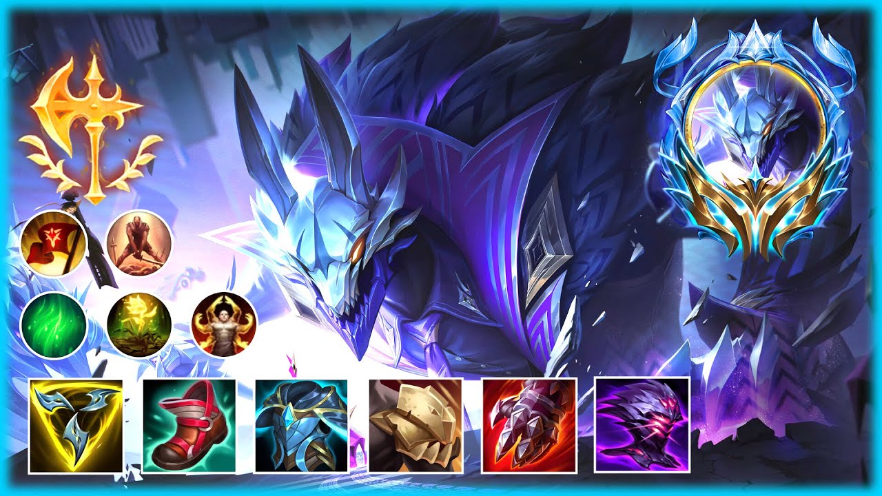 CARNARIUS NASUS MONTAGE 2024 - 