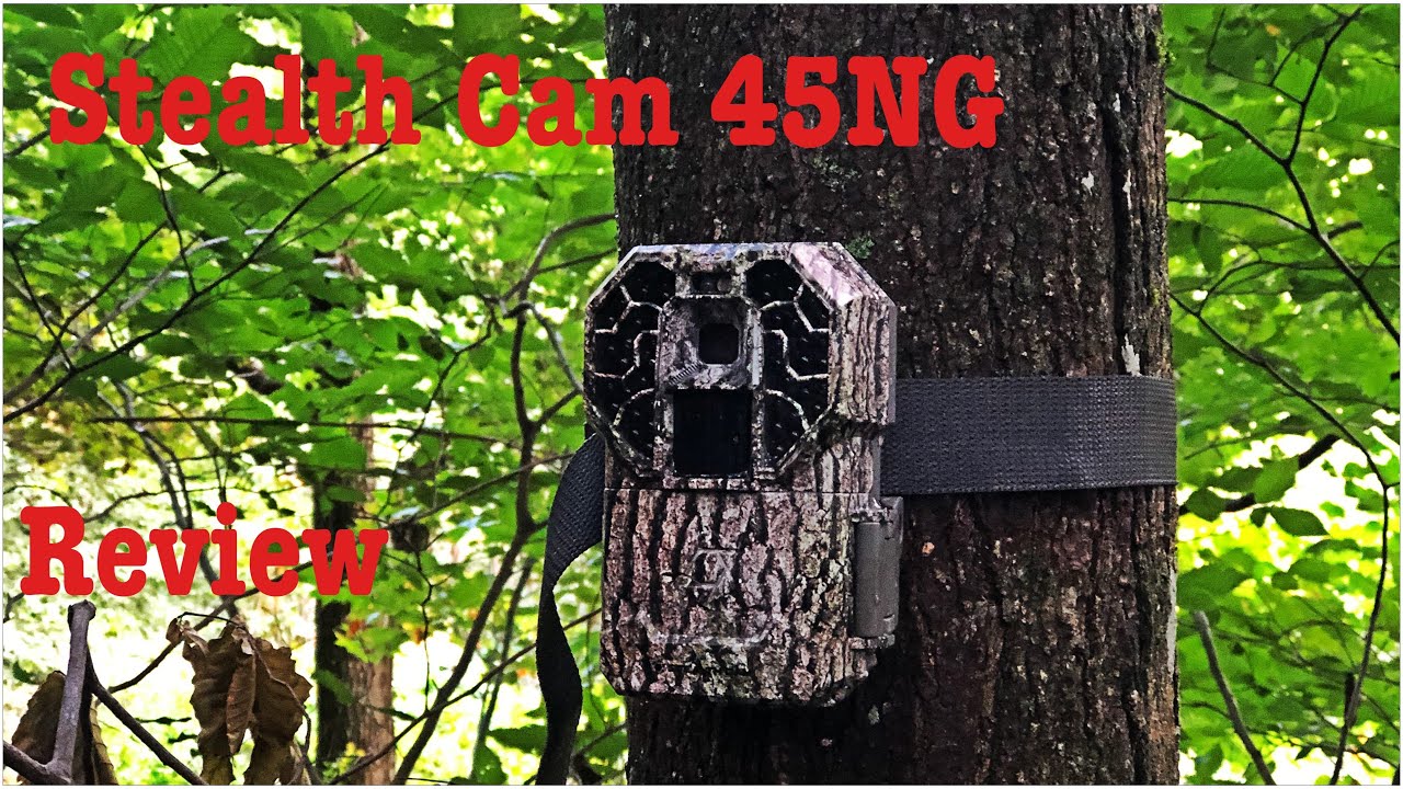 STEALTH CAM REVIEW | G45NG | Black Out Camera | Trail Camera Review | Budget Trail Camera