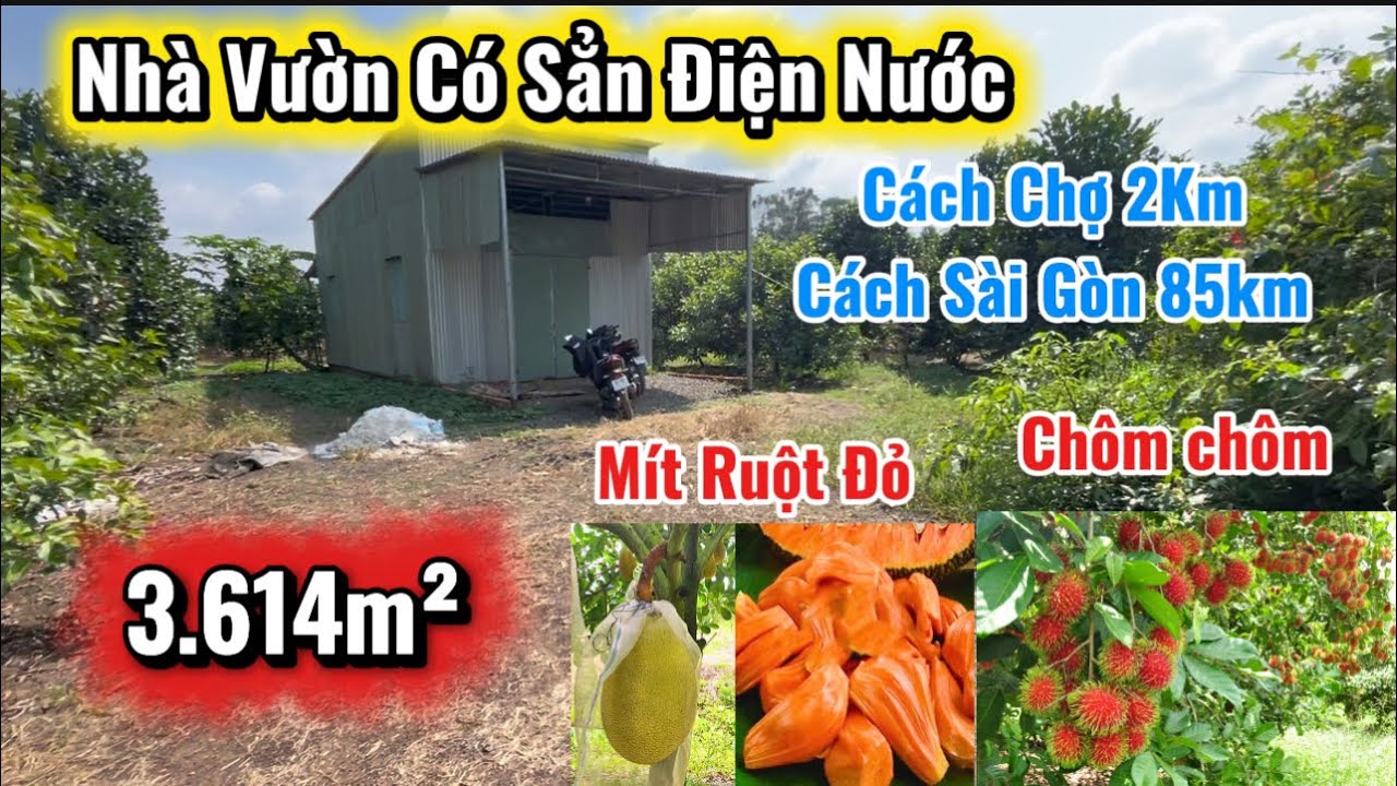 Nợ Có 500tr Mà Mấy Năm Làm Không Dư Để Trả Nổi, Thôi Giờ Bán Đất Gia Đinh Để Giải Quyết