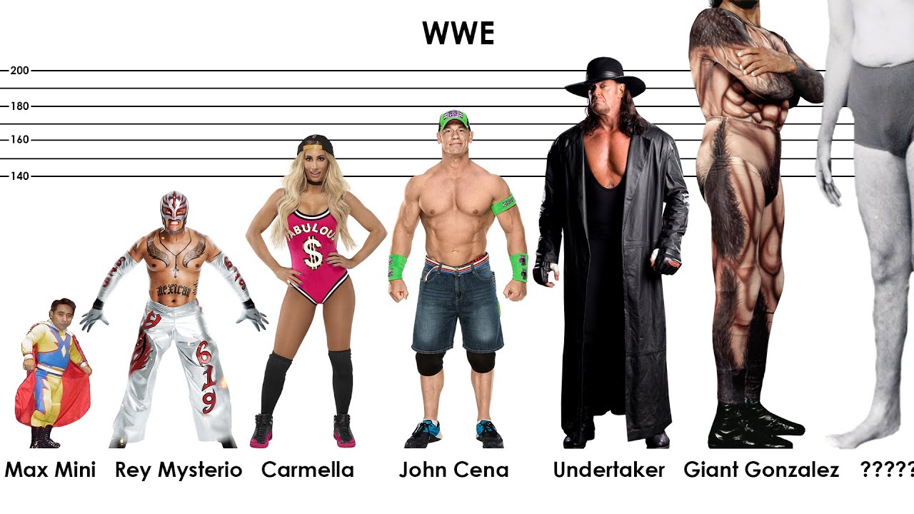 Confronto dell'ALTEZZA dei lottatori WWE