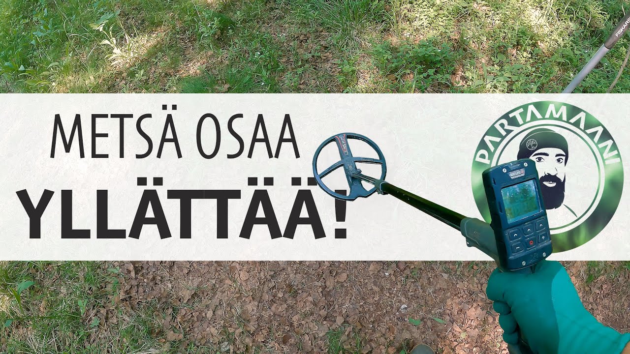 Metallinetsintää metsässä! #metallinetsintää #metallinpaljastin #aarrejahti #xpdetectors #subtitles