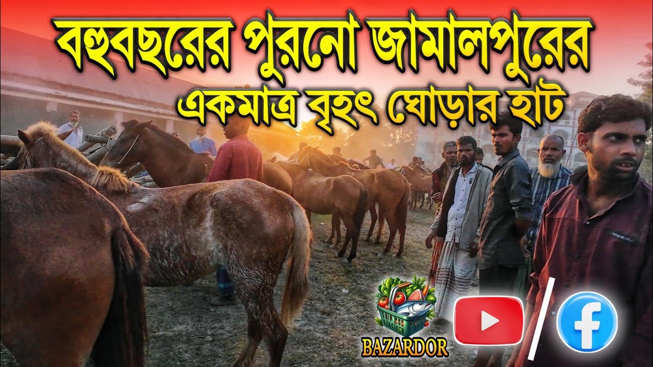ঘোড়া ক্রয়-বিক্রয় দৃশ্য 