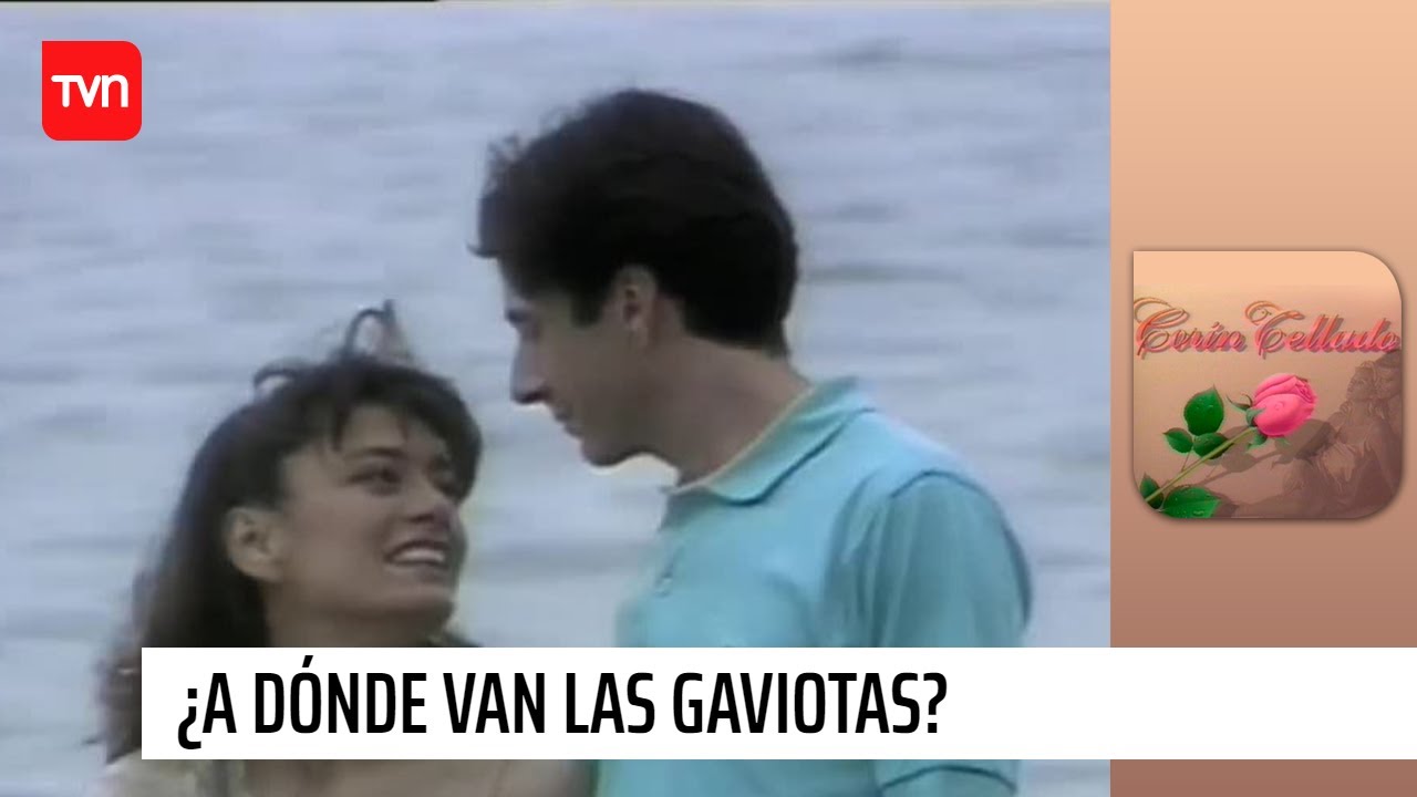 ¿A dónde van las gaviotas? | Corín Tellado - T1E1