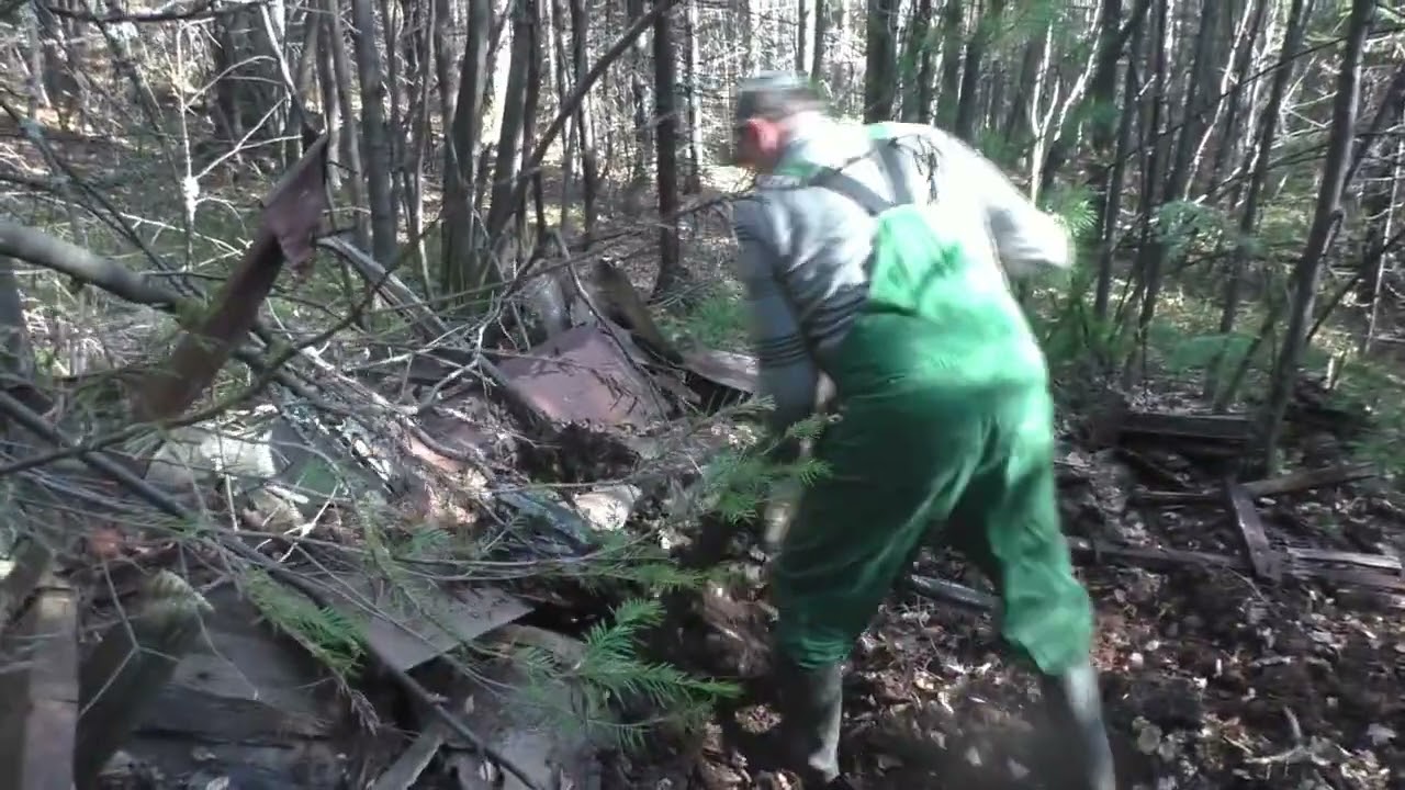 Осень.  Хорошая погода.  Металлокоп.