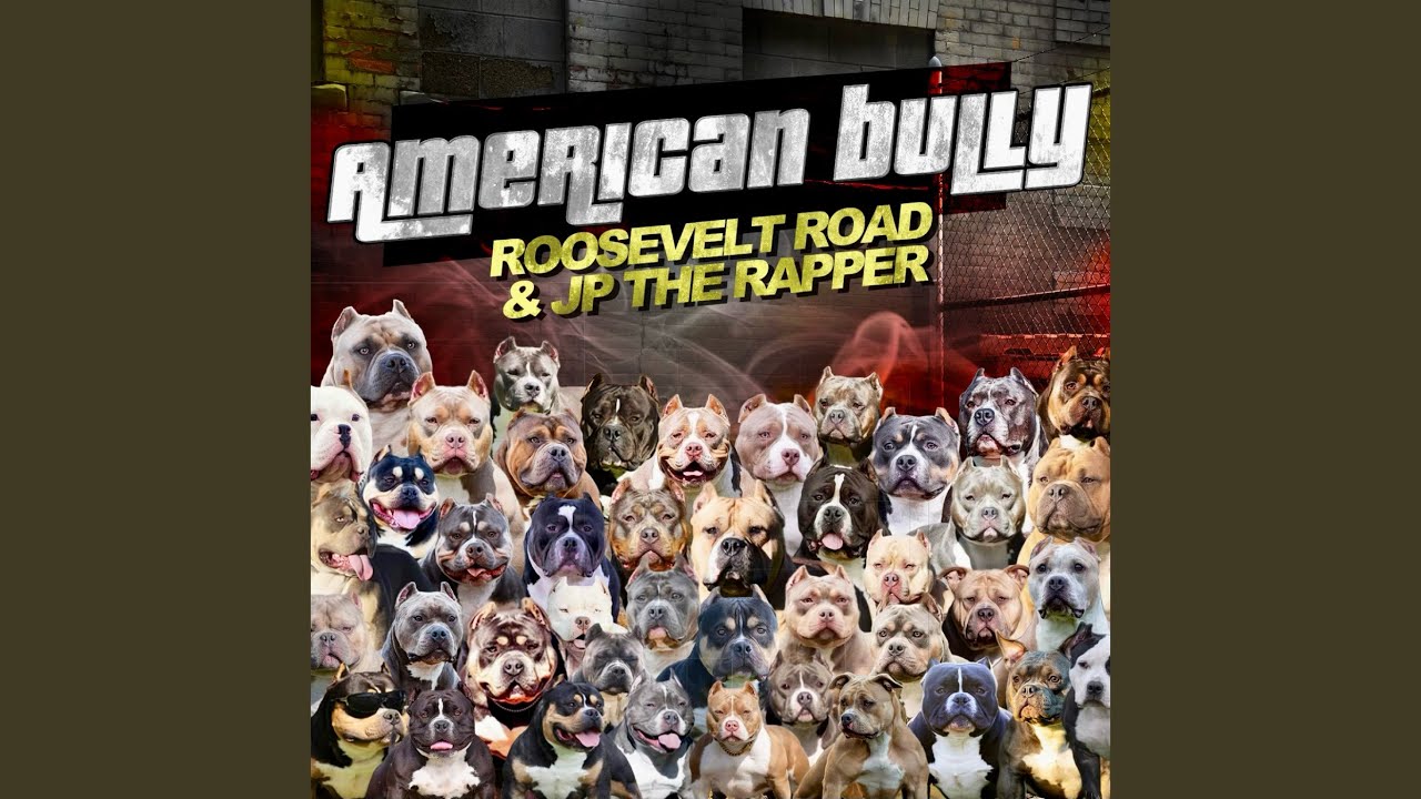 American Bully