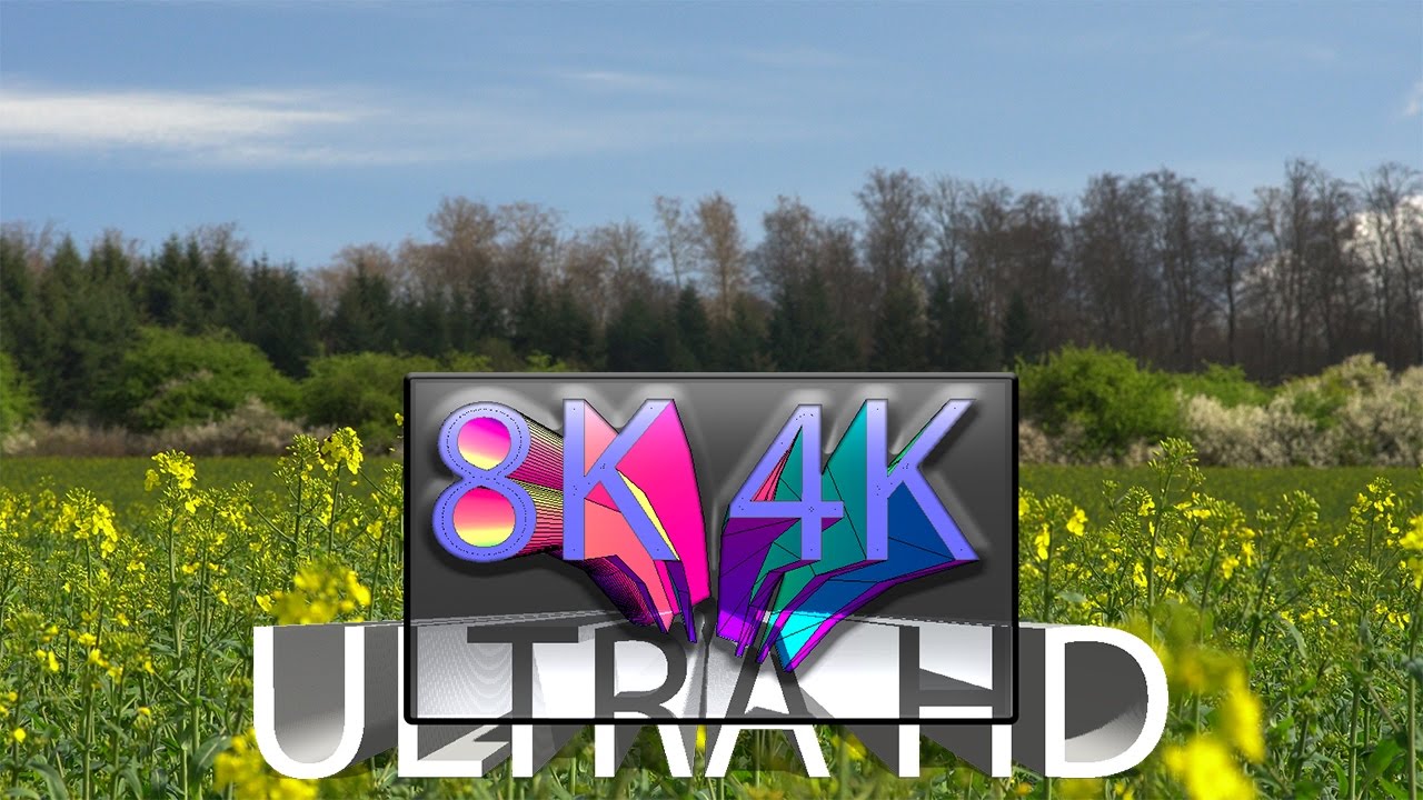 Im Rapsfeld - 8K 4K UHD - Dony Dons Mother Earth