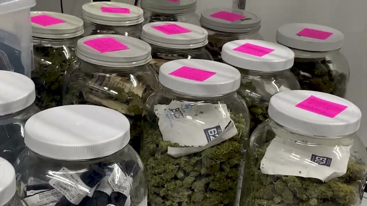 Phat Boy Pharms Indoor Grow