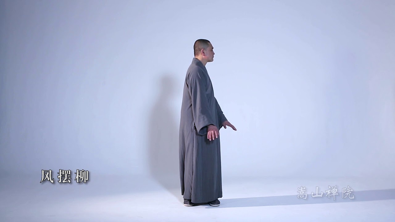 嵩山內養功法 （一）德建禪師示範