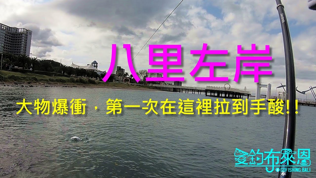 這又淺又小的石頭堆，居然有這種爆衝的大物!! #八里左岸 #烏魚 #牛奶魚