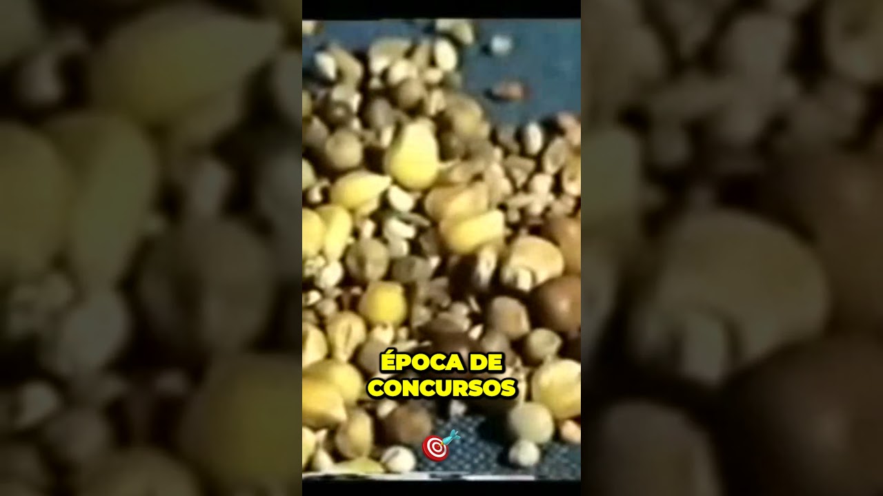 La dieta perfecta para tus palomas: secretos revelados #Palomeandoatope