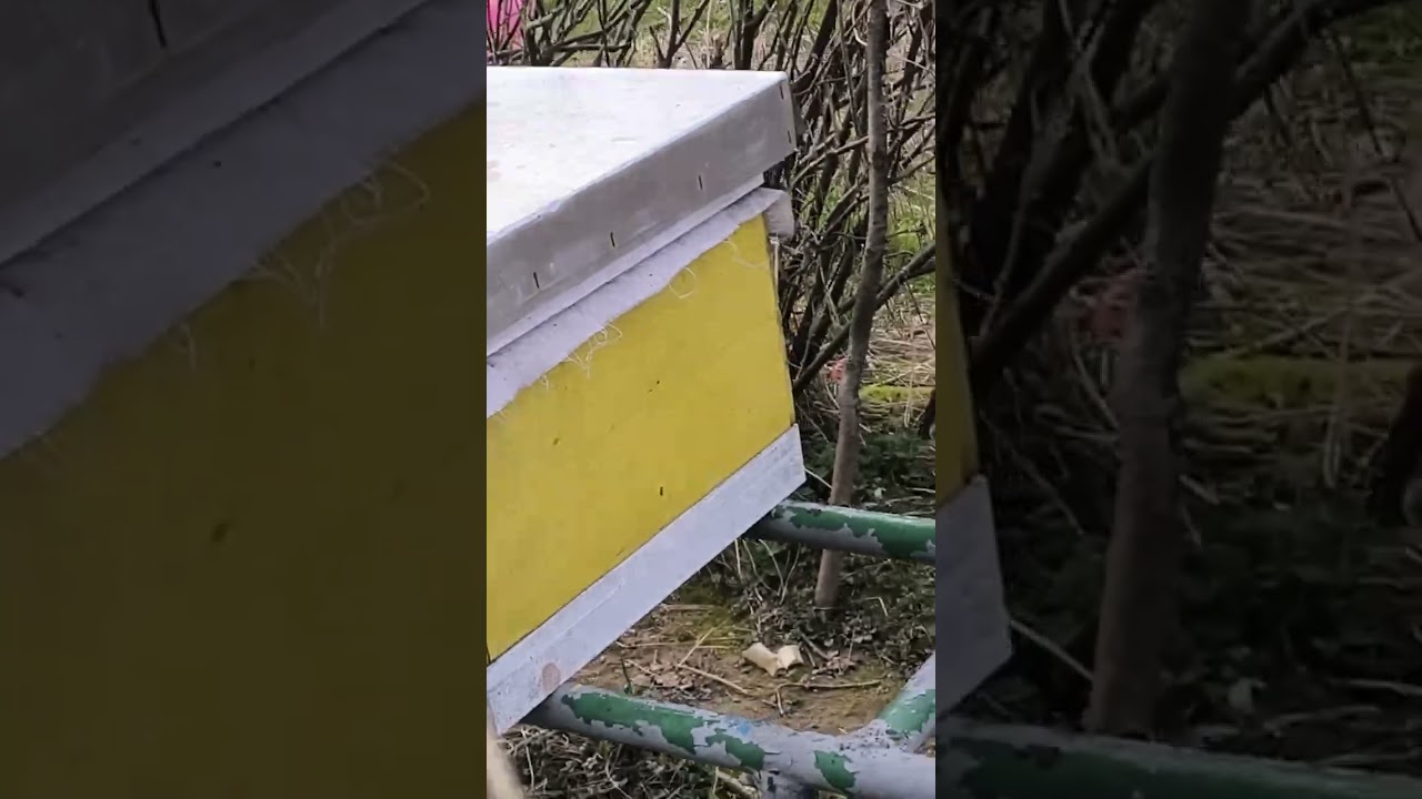 Radovi u martu ,I dio