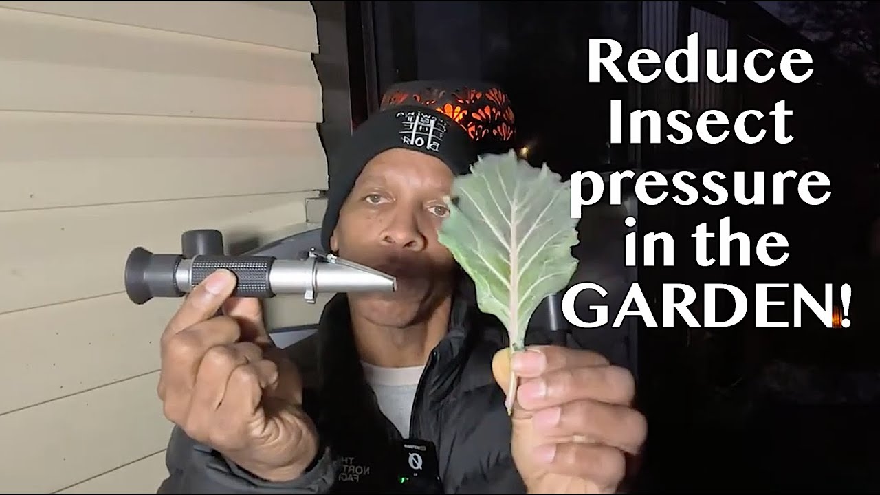 Reduce insects in your garden with this tool