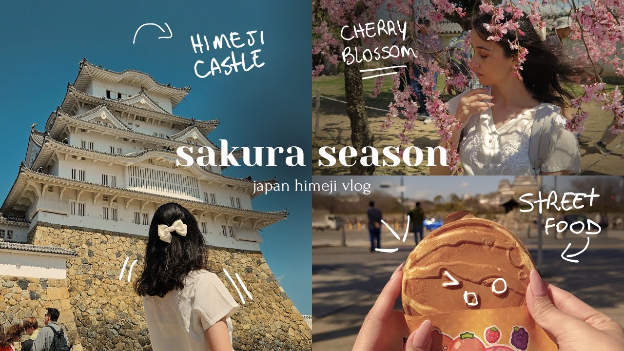 cherry blossom japan | osaka to himeji castle, kokoen garden, eating street food | ansoen vlog