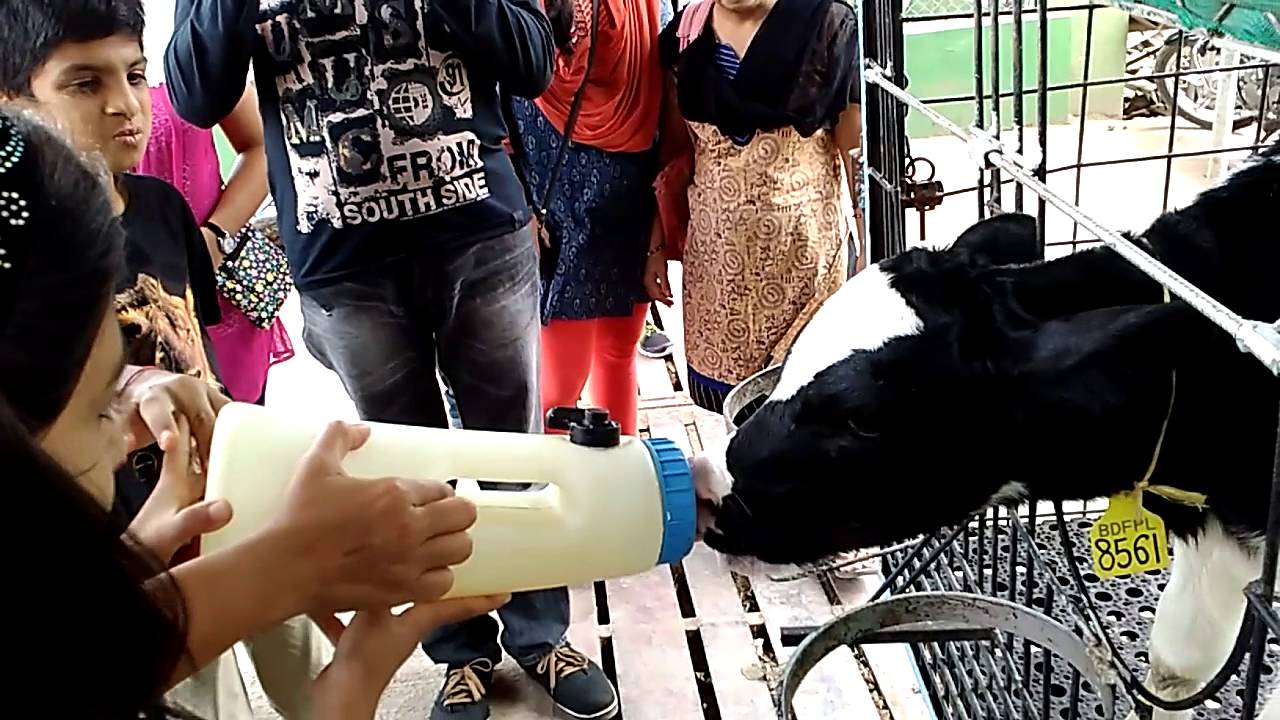 Govardhan Milk plant visit 2015