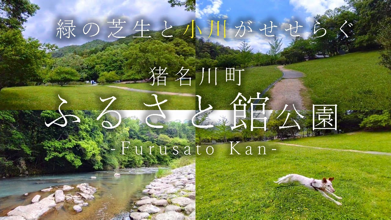 75.春の【ふるさと館公園】猪名川町 渓流のそばでまったりできる  Inagawa Furusato-kan Hyogo, 車で気軽に寄れる広場や小川がある程良いサイズの自然の公園 (夏✕)