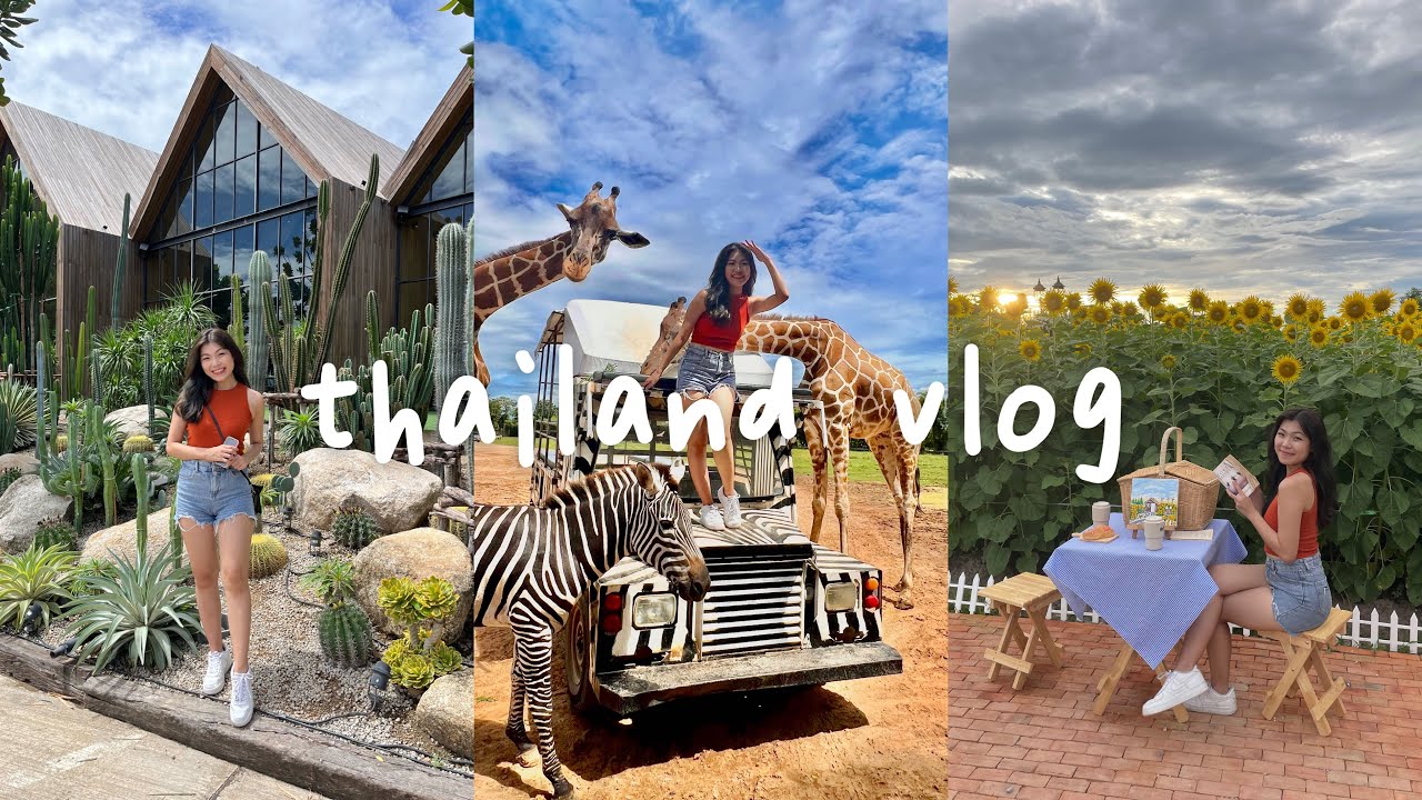 thailand vlog 🇹🇭 • a day in kanchanaburi: safari park, cafes, sunflower farm 🌻