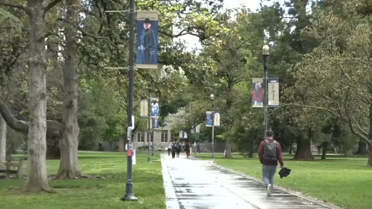 California State University mishandled sexual harassment, discrimination complaints, report reveals