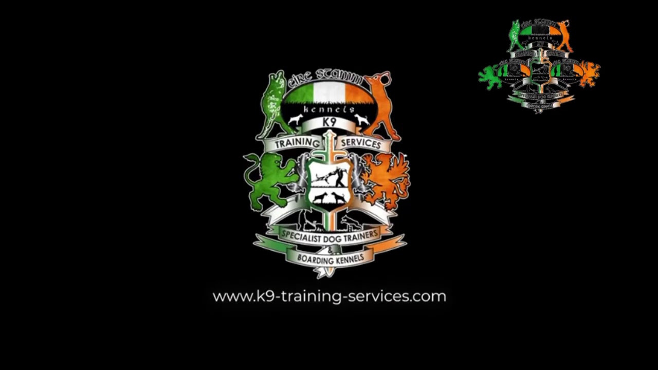 Flex Pole Dog Training