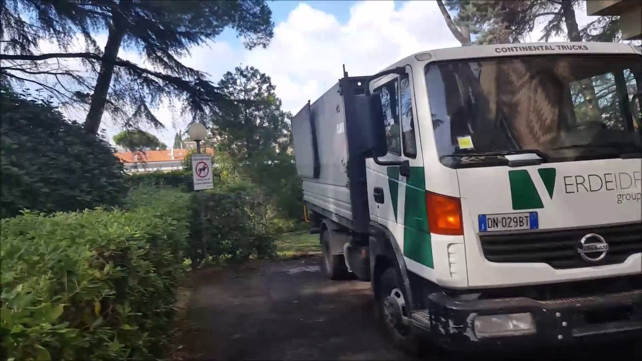 06 61597559 Potature Alberature Alto Fusto Roma Nord