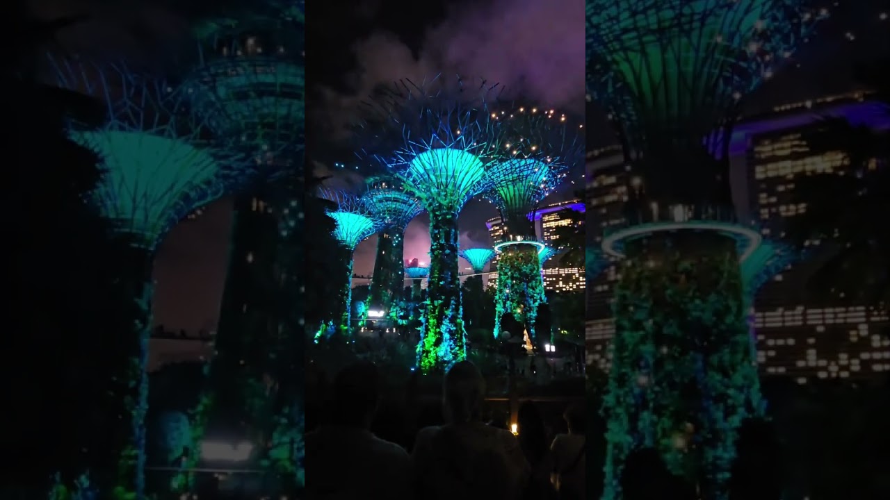 Gardens by the bay Singapore 