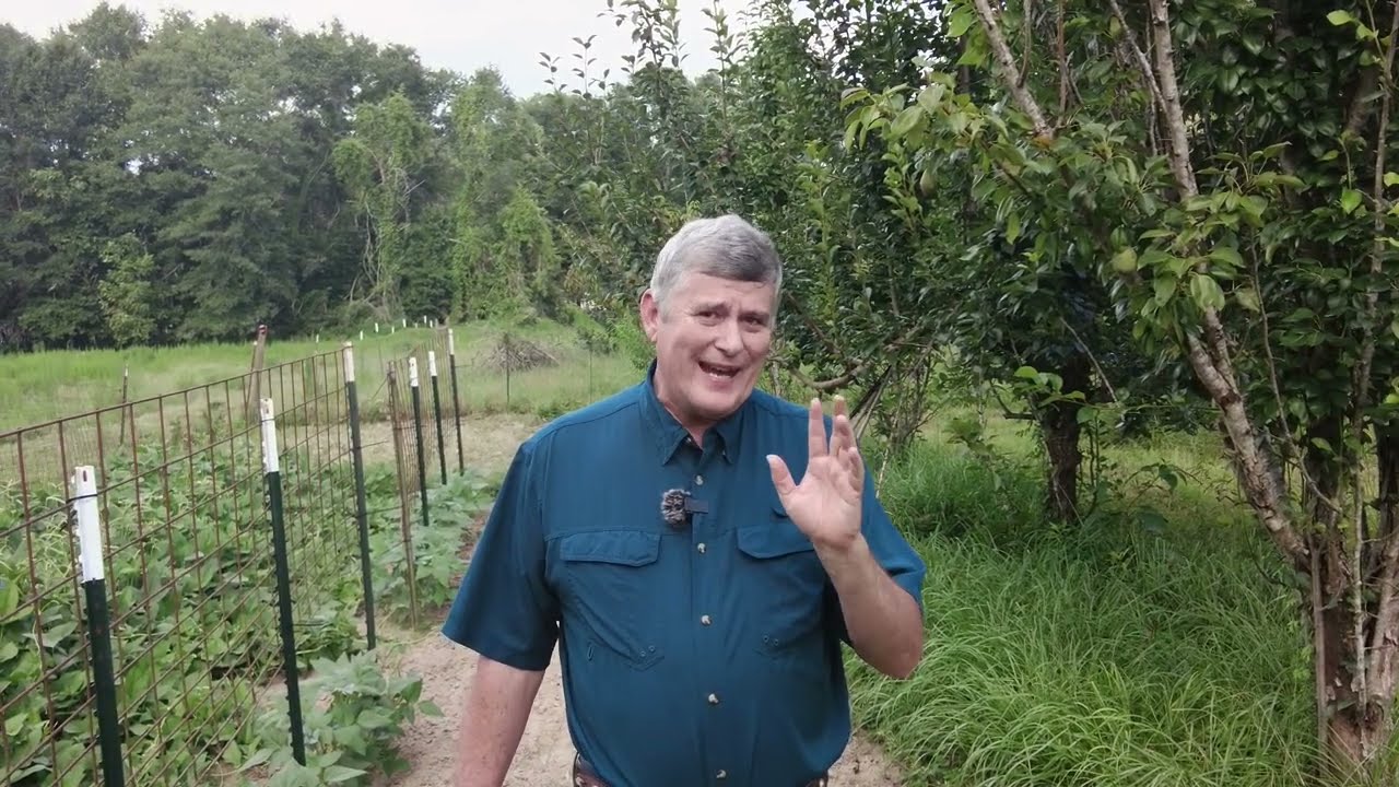 15 Easy Vegetable Plants for Fall Planting in Texas Zones 8 and 9.