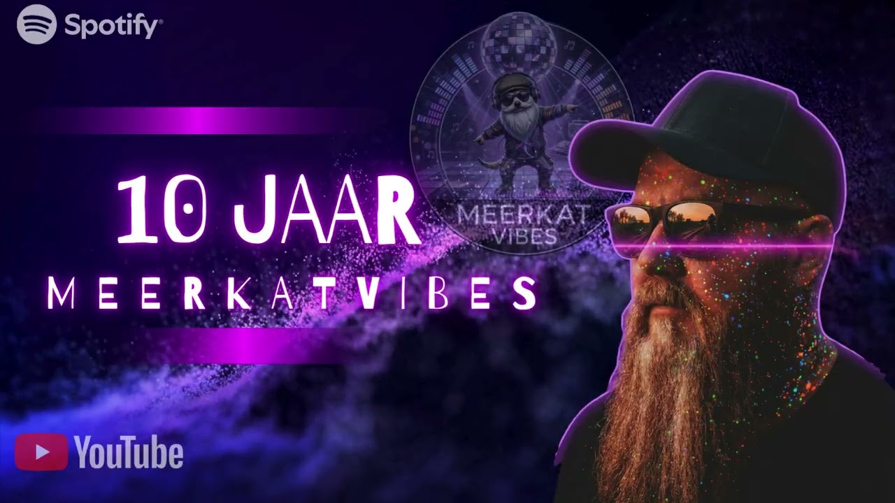 10 JAAR REMIX MEERKATVIBES