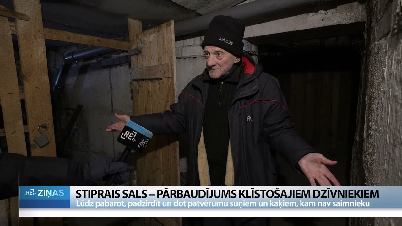 Ziema kā spriedums: kur patverties dzīvniekiem bez mājām