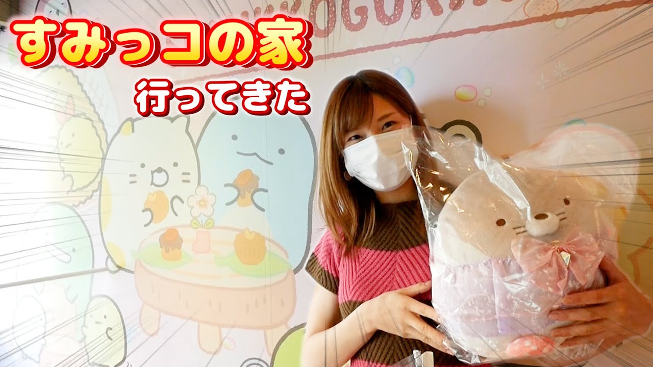 これがすみっコぐらしのもぐらさん家です…！【 こうじょうちょー  】