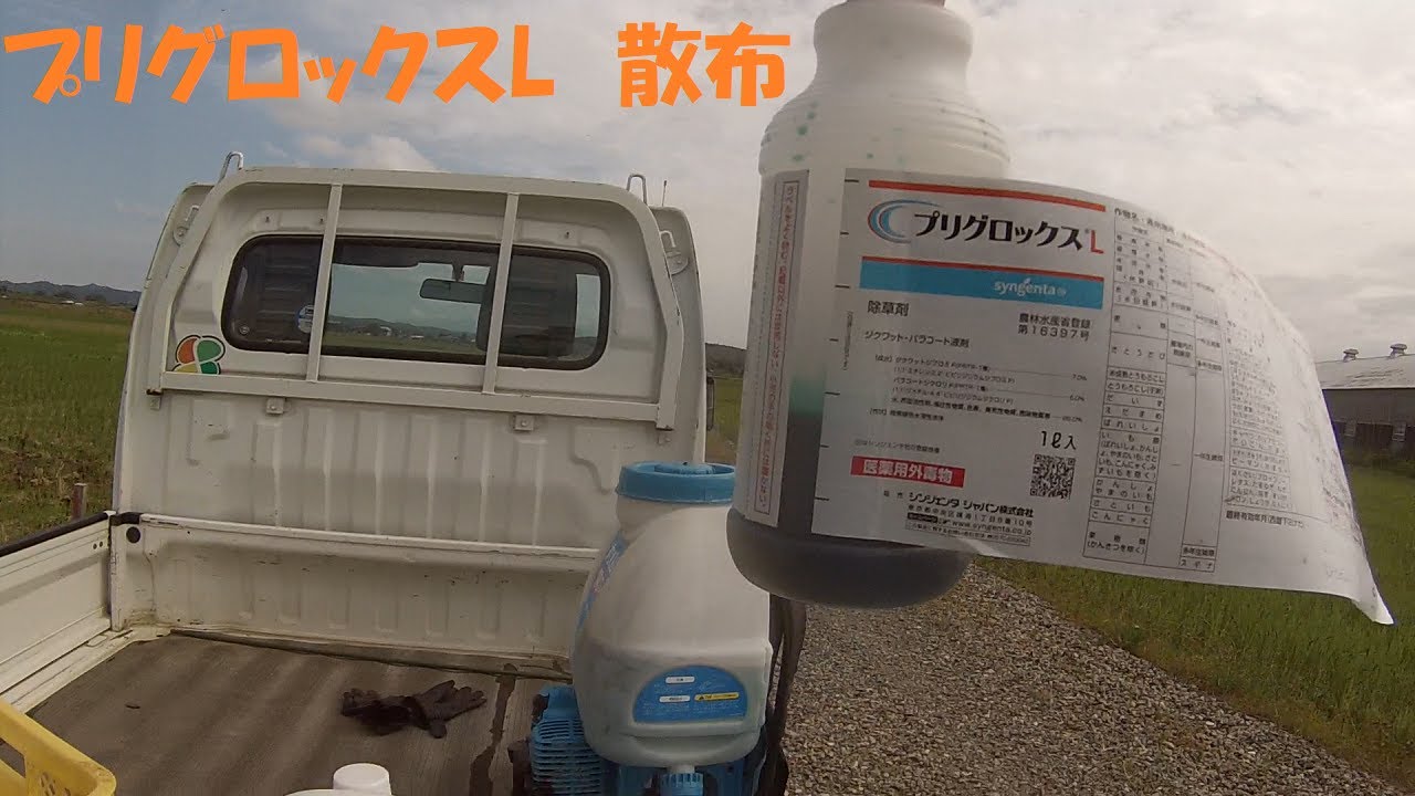 プリグロックスLで稲刈取後除草をした