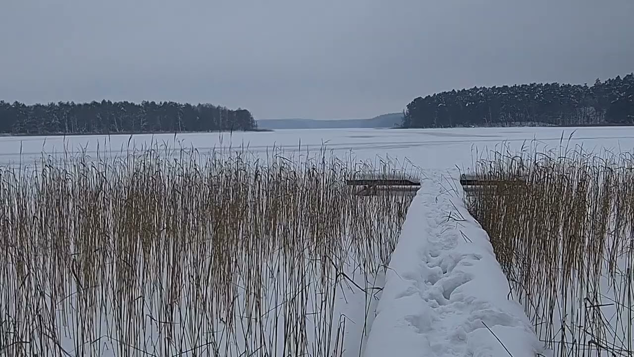 Zimowa Zawierucha /Winter Storm Vibes
