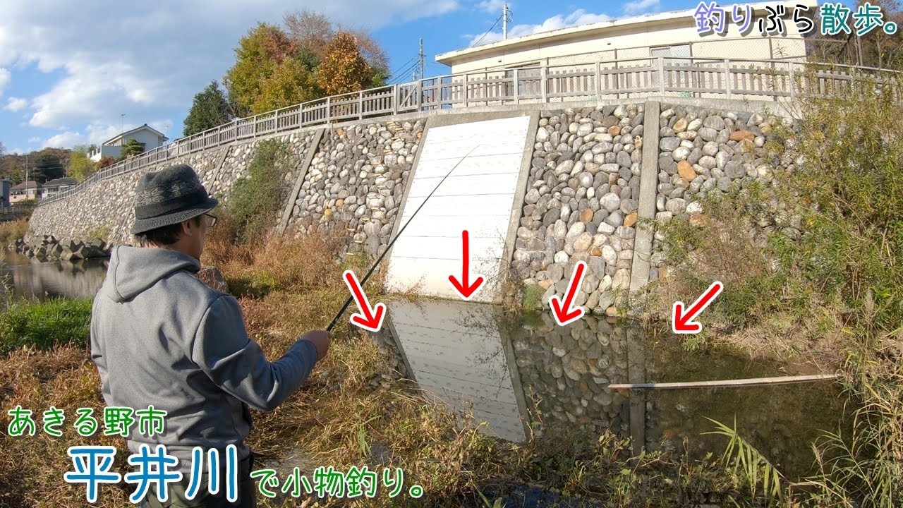 良型〇〇が釣れちゃう良い場所を見つけました！  あきる野市 平井川で小物釣り。