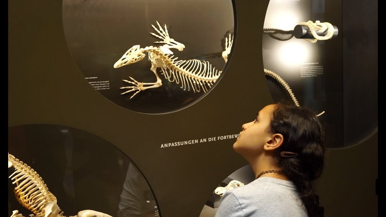 Erste Kindergruppe erkundet das Aquazoo Löbbecke Museum