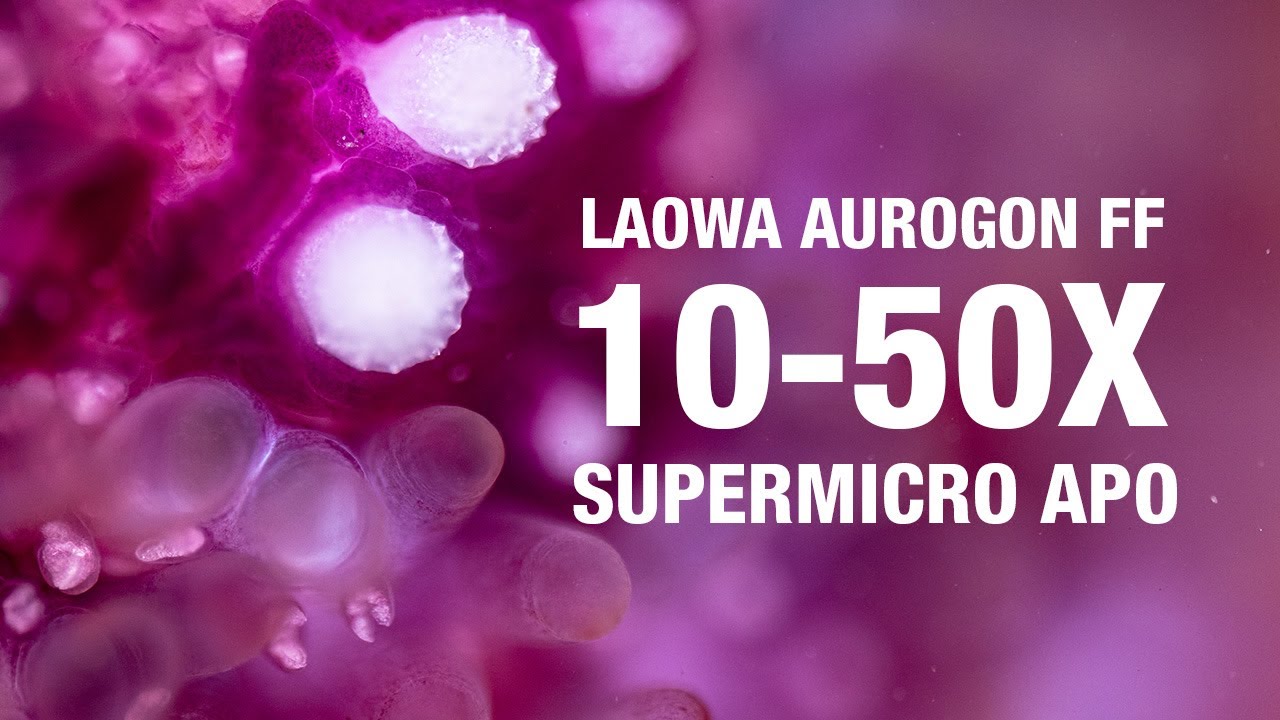 Laowa Aurogon FF 10-50x Macro Supermicro APO