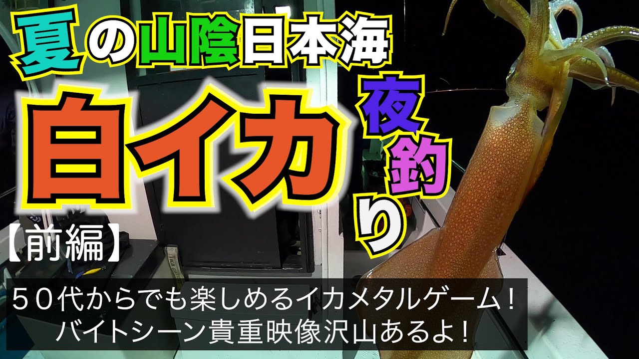 山陰白イカ釣り[前編]　夏の山陰地方は白イカ釣り(ケンサキイカ)で大盛り上がり！イカメタルゲームのバイトシーンや貴重なお宝映像が盛り沢山！