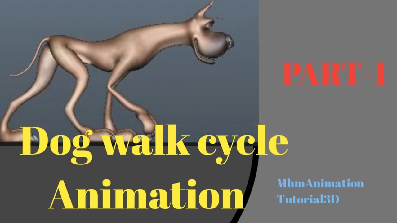 Dog walk cycle animation  Part 1