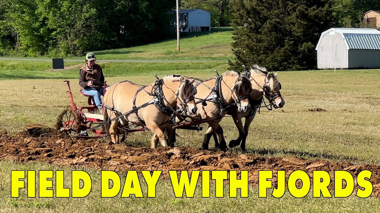 Fjords at Brush Creek Plow Day