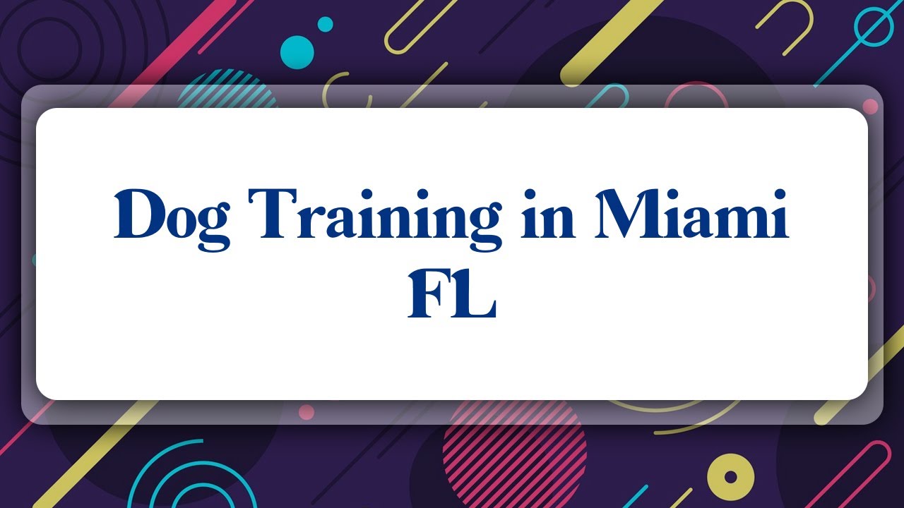 Top 10 Dog Training in Miami, FL