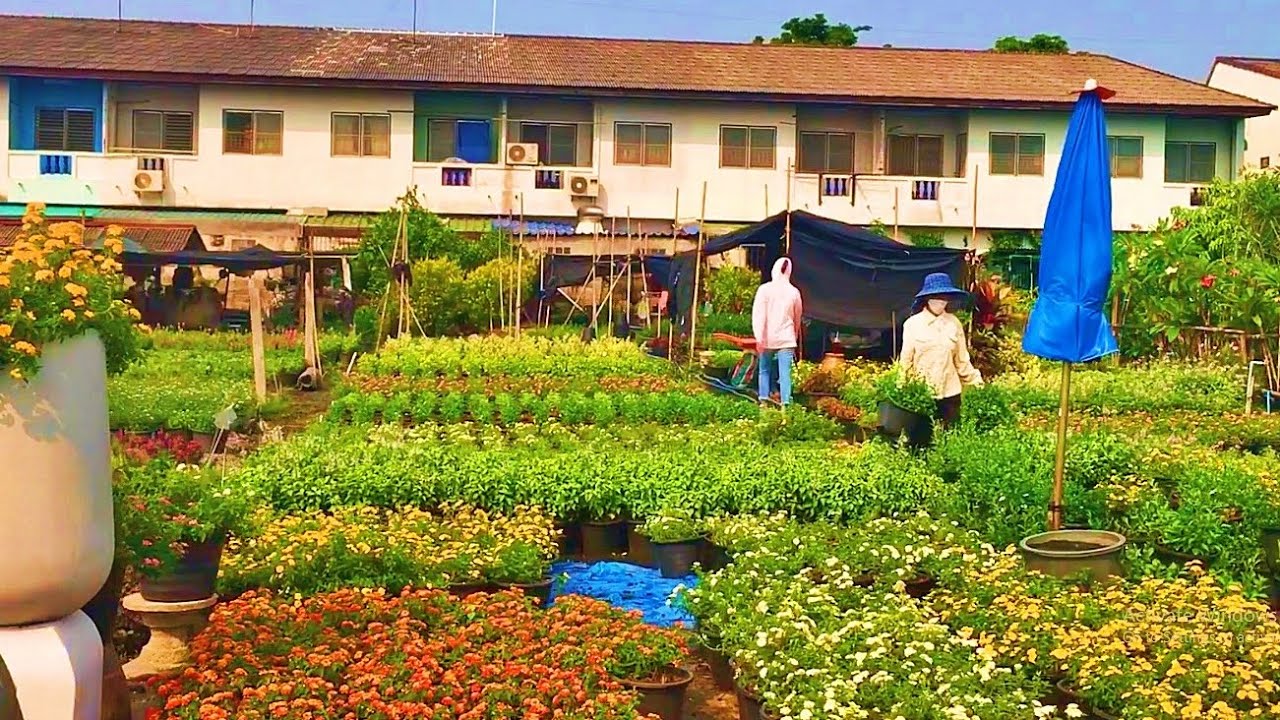Suburban driving - Suburban roads to the cheap vegetable garden